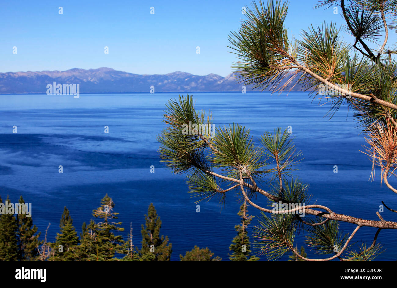 Les eaux propres du lac Tahoe, États-Unis Banque D'Images