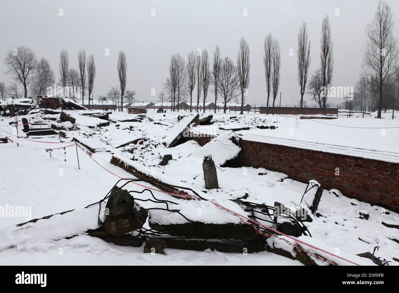 Ruines d'une chambre à gaz de Birkenau (Auschwitz II), partie du camp de concentration d'Auschwitz-Birkenau State Museum, Oswiecim, Pologne. Banque D'Images