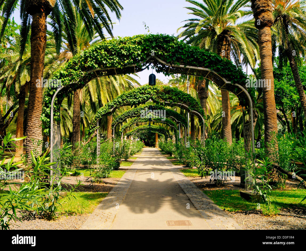 Park à Santa Cruz de Tenerife, Canaries, Espagne Banque D'Images