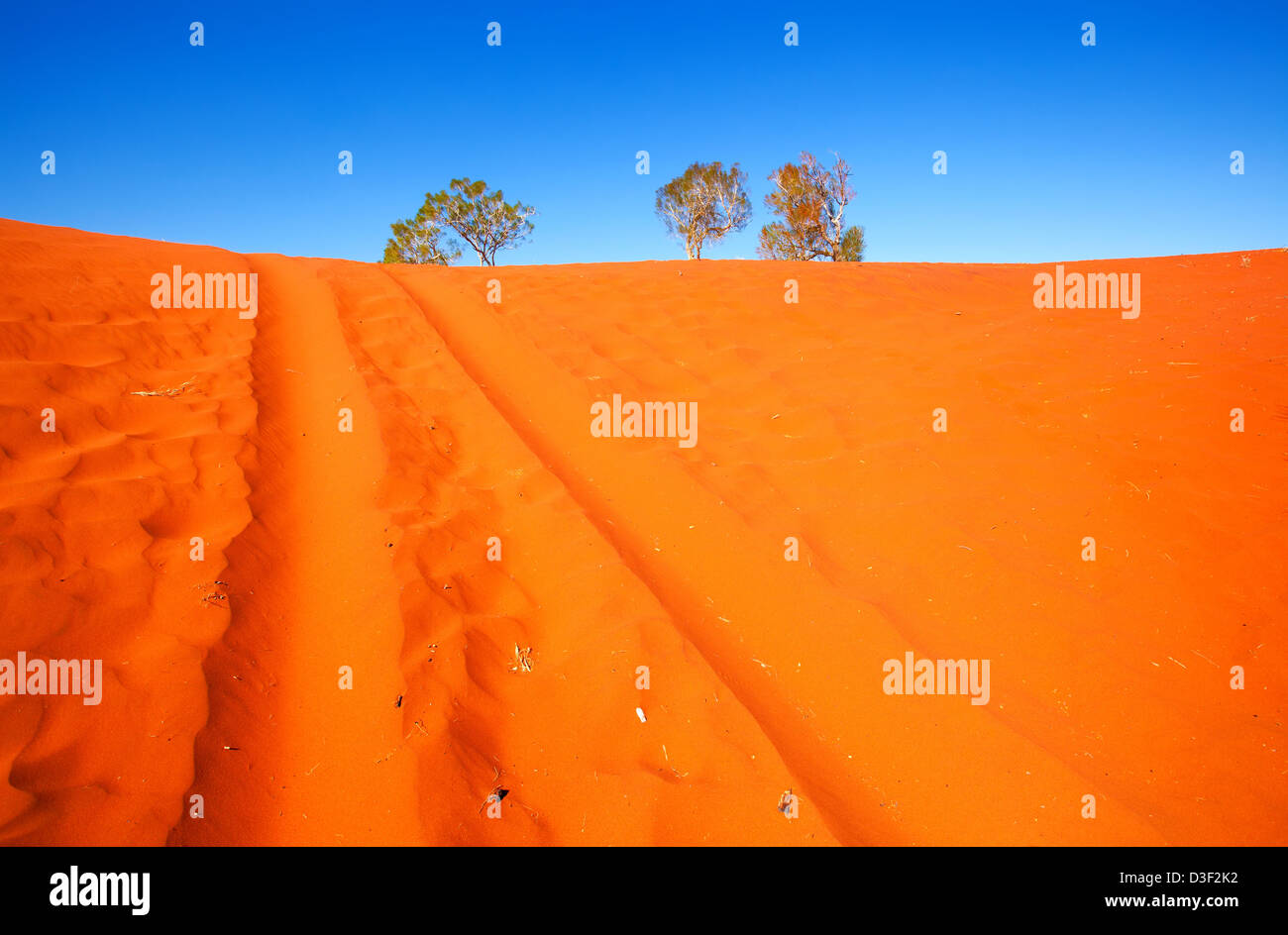 Pistes de véhicules dans de doux sable rouge du centre de l'outback australien Banque D'Images