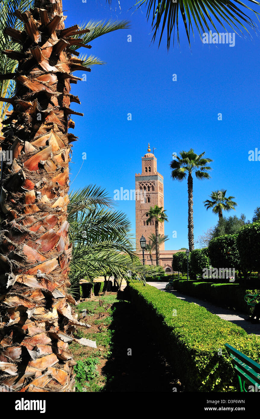La mosquée Koutoubia, avec sa tour du XIIe siècle de 75m de haut, est entourée de jardins dans la ville de Marrakech, Maroc, Afrique du Nord Banque D'Images