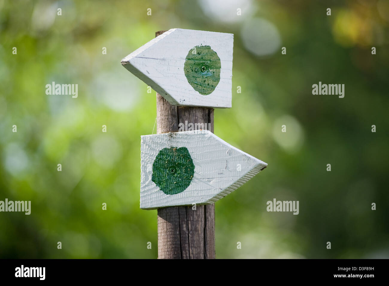 Massow / Mark, l'Allemagne, signe du sentier avec point vert Banque D'Images