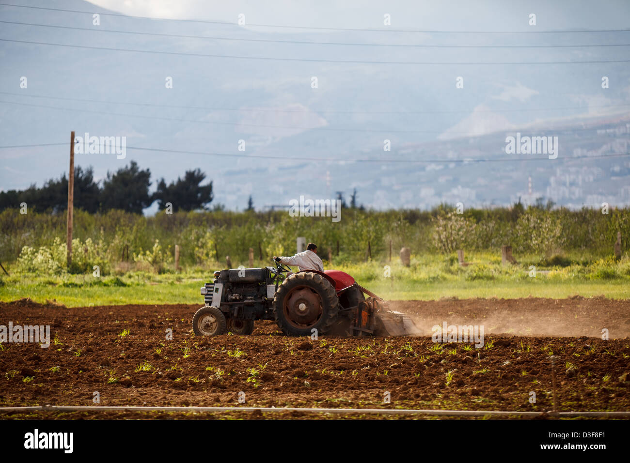 Agriculteur labourant un champ avec un vieux tracteur dans la vallée de la Bekaa, au Liban. Le Mont Liban est visible en arrière-plan. Banque D'Images