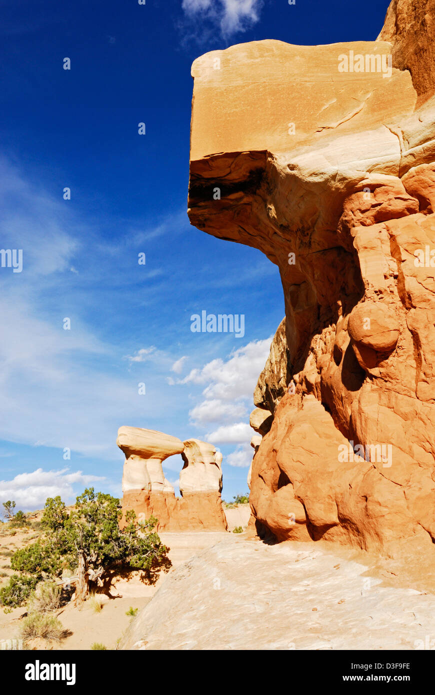 des hoodoos de forme étrange dans le (apparemment mal nommés) Jardin „Devils“ près du trou „dans la route Rock“ Du monument national Grand Staircase-Escalante Banque D'Images