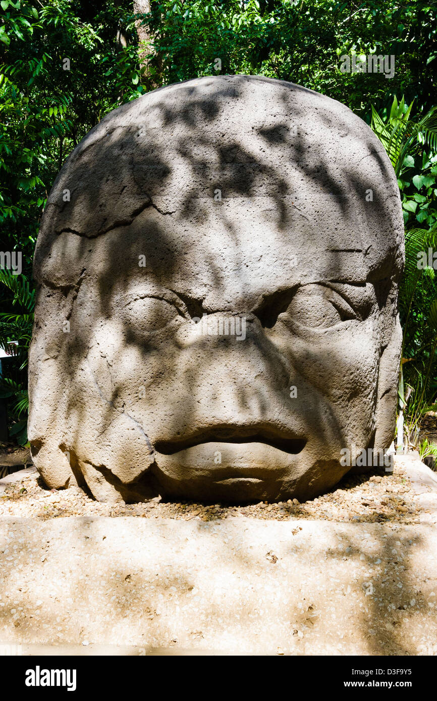 Tête Colossale Olmèque 4 Monument à la Venta. Villahermosa, Tabasco, Mexique Banque D'Images