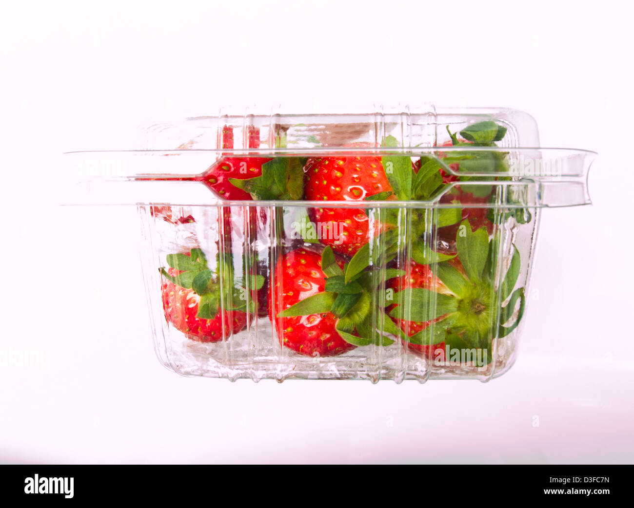 Des fraises fraîches entassées dans du plastique transparent fort isolé sur fond blanc Banque D'Images Des fraises fraîches entassées dans du plastique transparent fort isolé sur fond blanc Banque D'Images