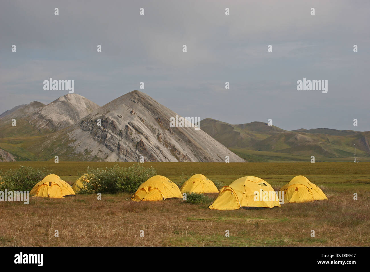 Camp de tentes north face jaune de l'Arctique de l'Alaska North Slope Banque D'Images