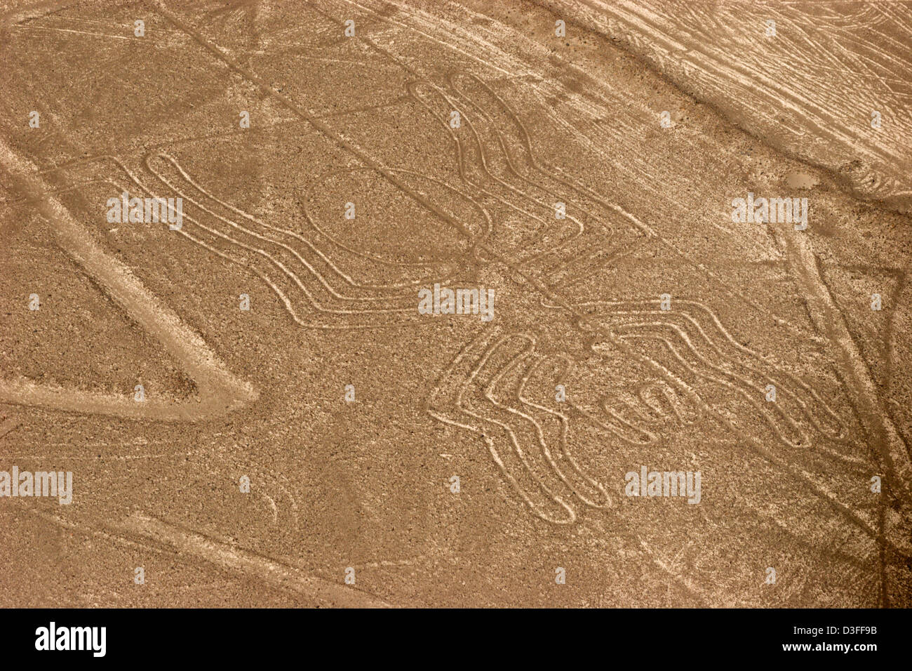 Lignes de Nazca Pérou tourisme site touristique vue aérienne condor colibri araignée arbre chien héron grue mystère historique du patrimoine Banque D'Images