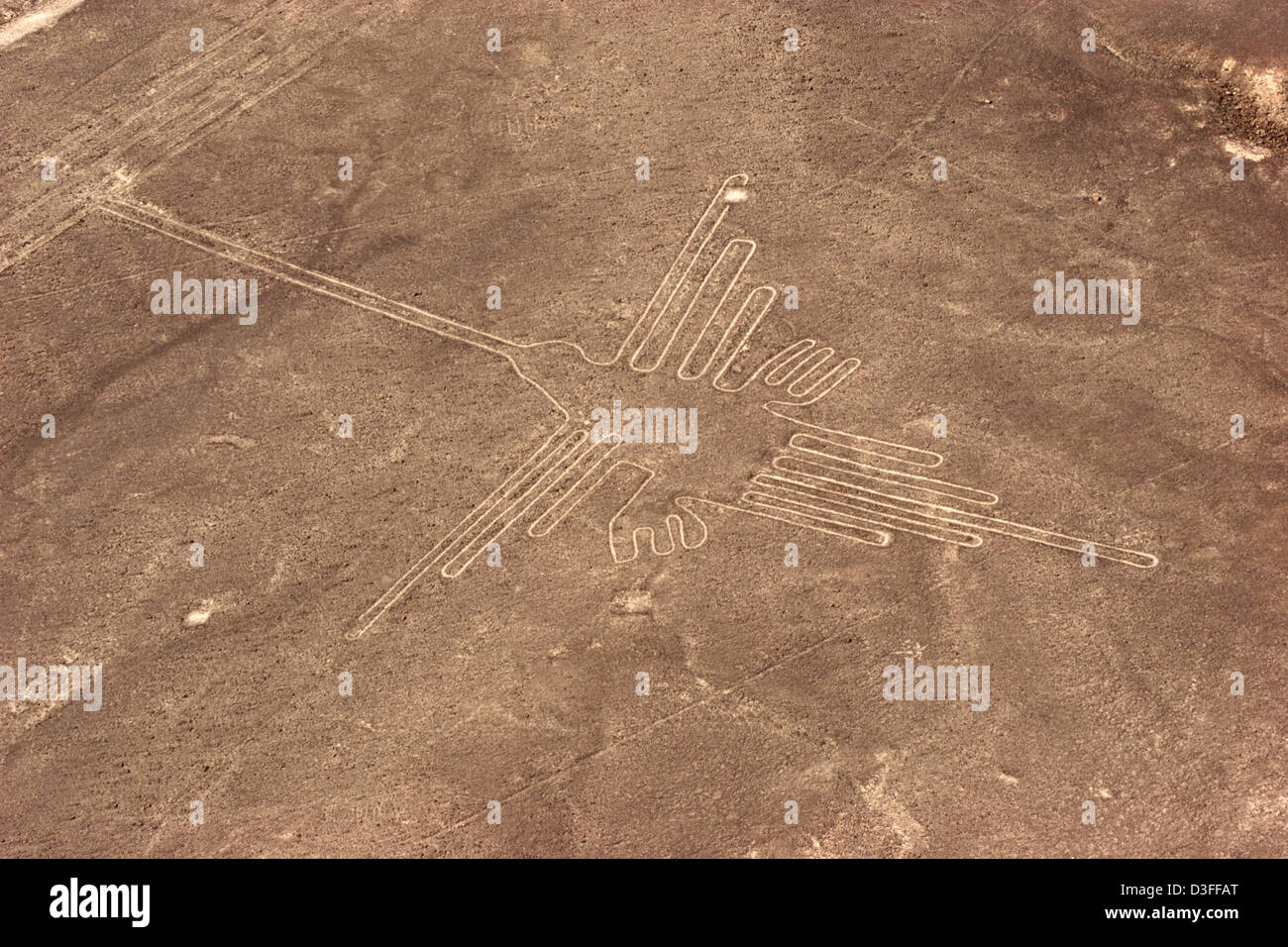 Lignes de Nazca Pérou tourisme site touristique vue aérienne condor colibri araignée arbre chien héron grue mystère historique du patrimoine Banque D'Images