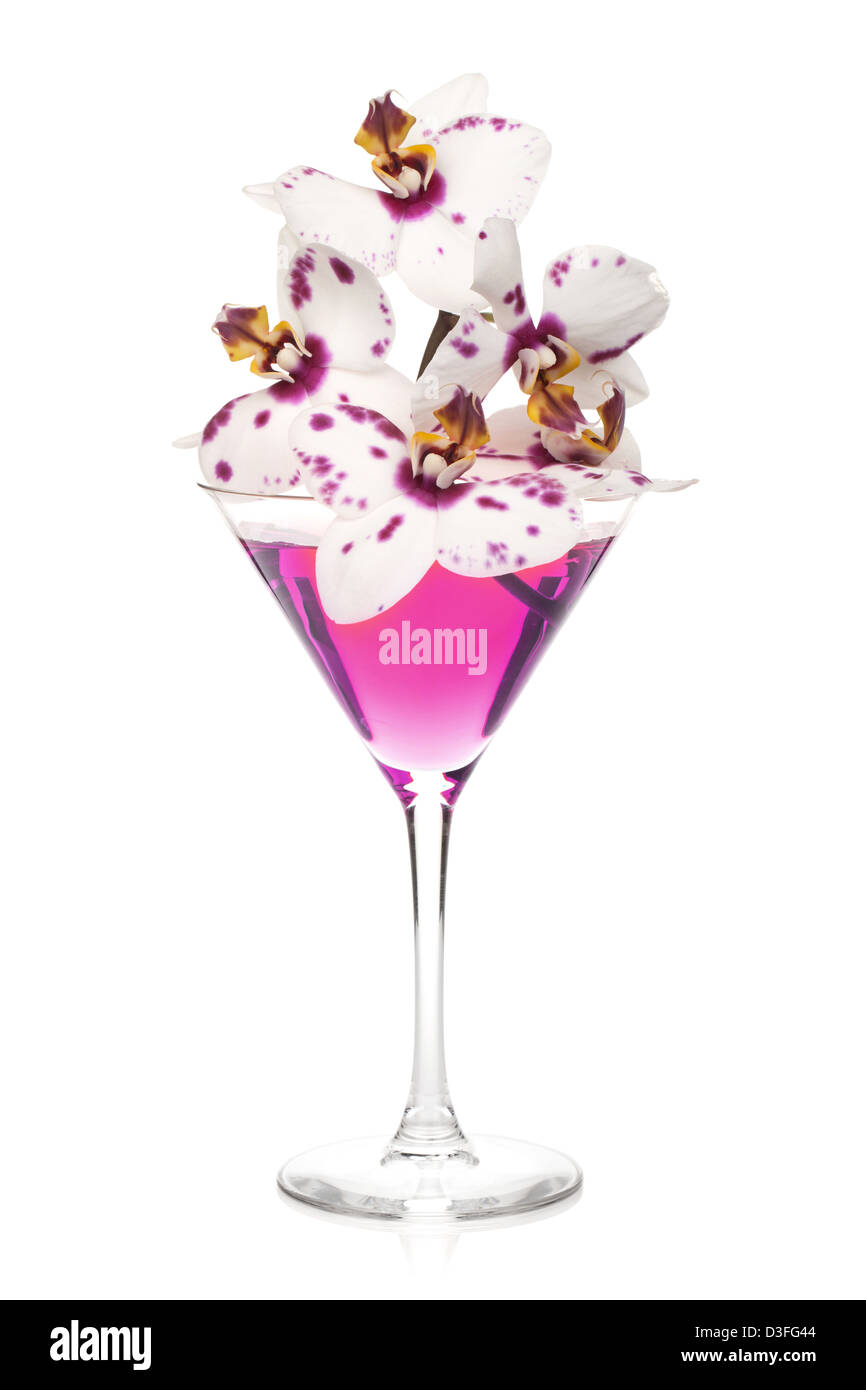 Orchidée rose fleurs dans un verre à cocktail. Isolé sur fond blanc Banque D'Images