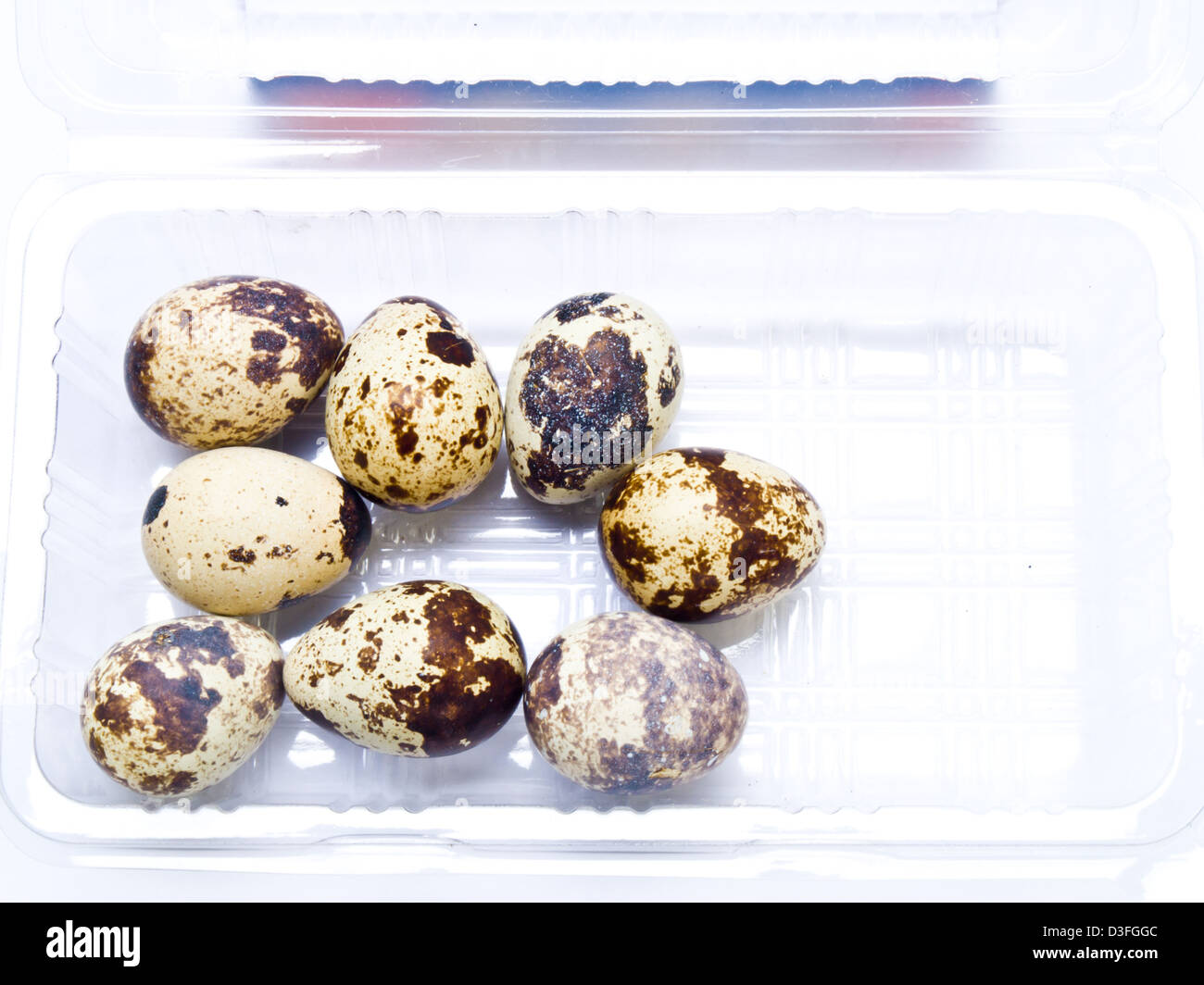 Des oeufs de cailles dans le bac en plastique isolé sur fond blanc Banque D'Images Des oeufs de cailles dans le bac en plastique isolé sur fond blanc Banque D'Images