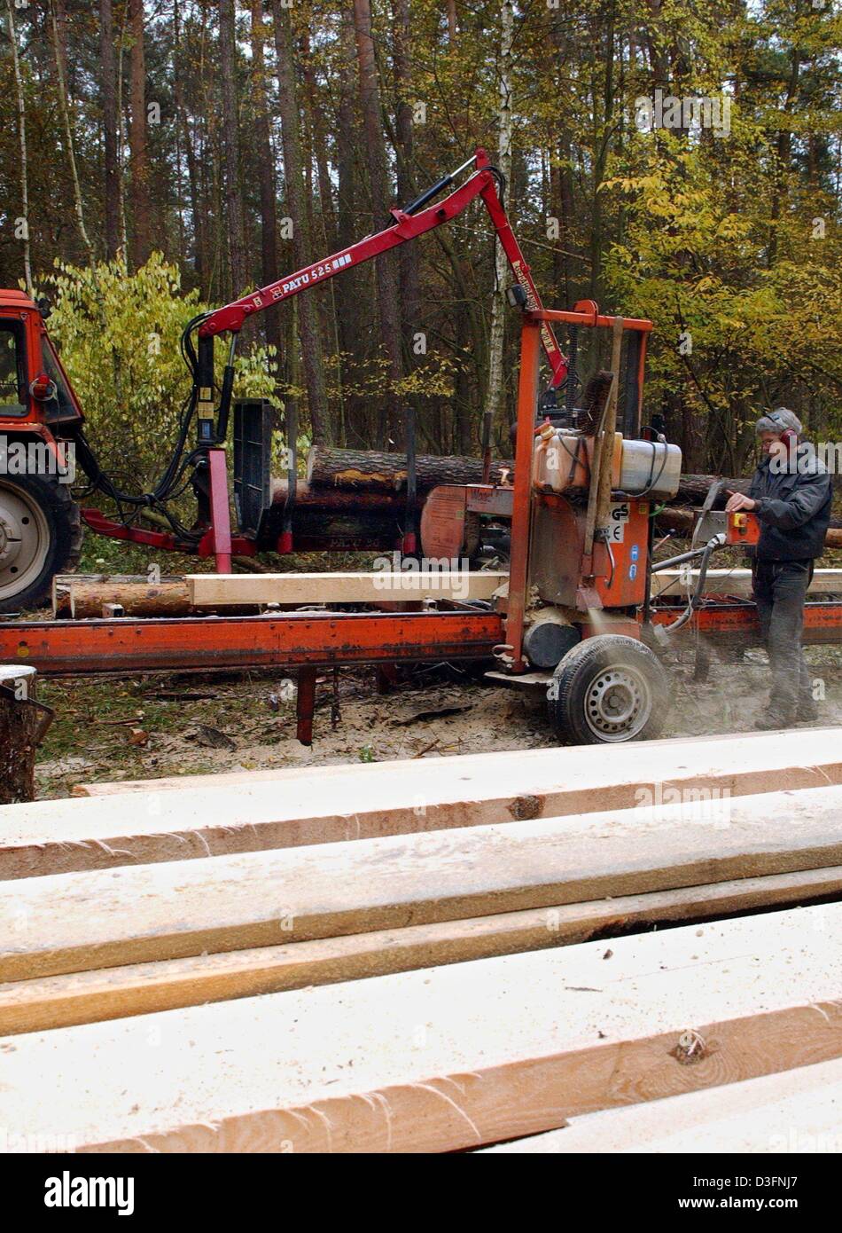 (Afp) - Dieter Lehmann de l'entreprise "d'être Holz- und Verarbeitung' (le traitement du bois et de la transformation) fonctionne sur une scierie mobile dans une forêt privée près de Briesen, Allemagne, le 8 novembre 2004. En particulier les propriétaires de forêts privées utiliser la possibilité de découper les planches et les planches à la tache avec une scierie mobile. Banque D'Images