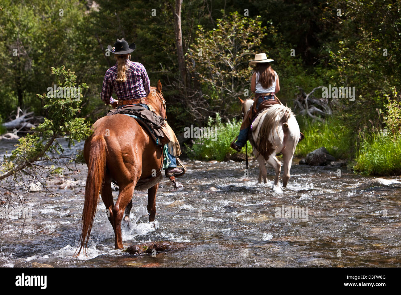 Cowgirls équitation à cheval à travers la rivière à Big Creek, Montana, USA Banque D'Images