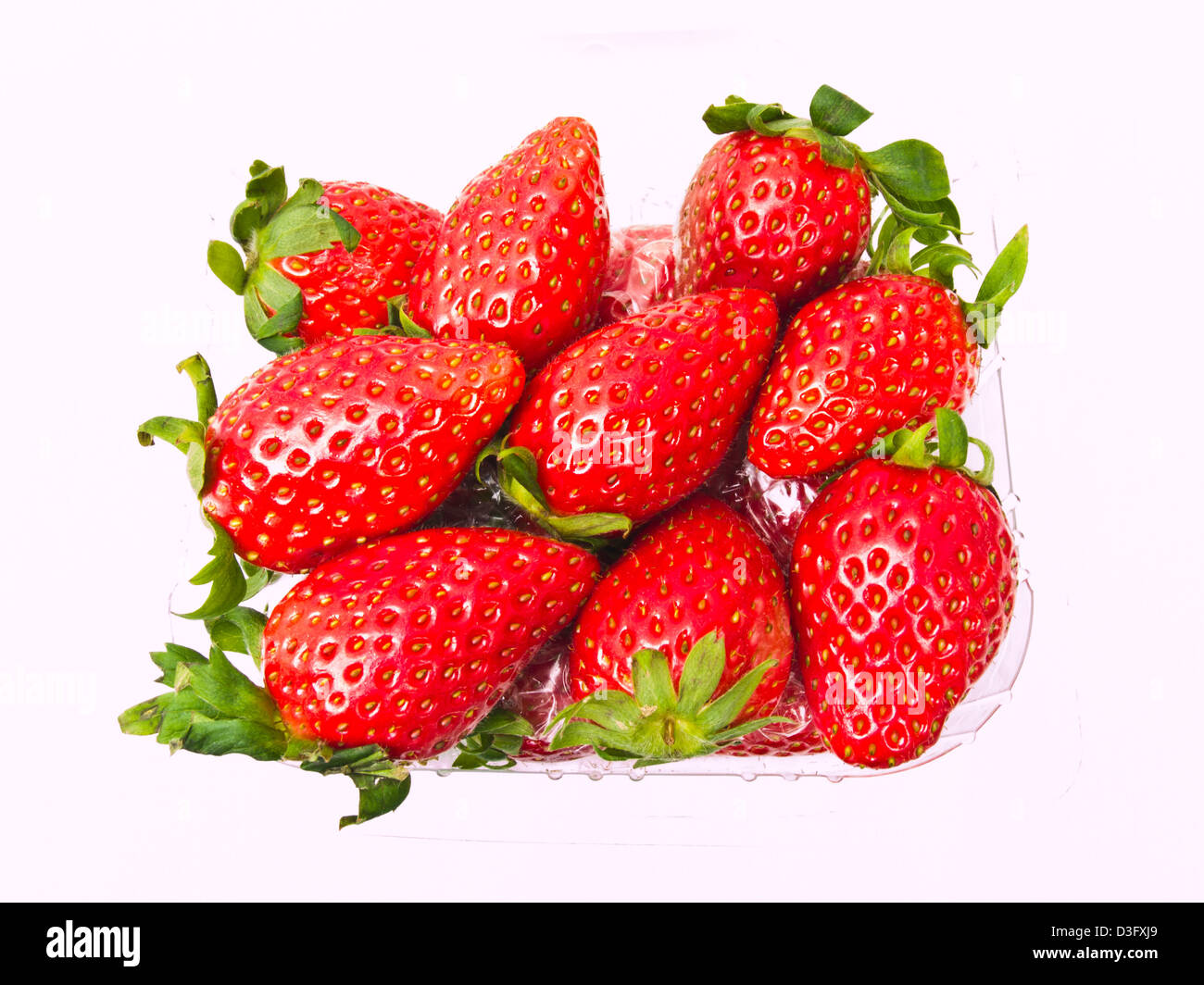 Des fraises fraîches entassées dans du plastique transparent fort isolé sur fond blanc Banque D'Images Des fraises fraîches entassées dans du plastique transparent fort isolé sur fond blanc Banque D'Images