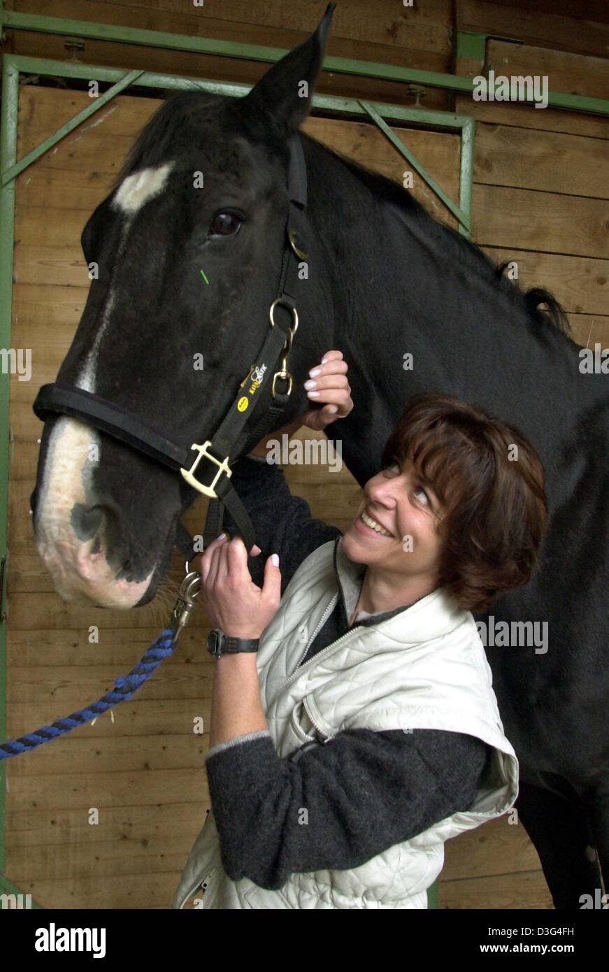 (Afp) - L'EFP Claudia Martin le hushs 16 ans Galisco hongre qui a une aiguille d'acupuncture coller près de son œil, dans une étable à Erbach, Allemagne, 7 octobre 2003. L'acupuncture équine vient de Chine datant de 2000-3000 avant JC. Il est connu comme un ancien de "l'art de guérir". On croit que le corps a un flux constant d'énergie qui la traverse via les méridiens. Lorsque illnes Banque D'Images