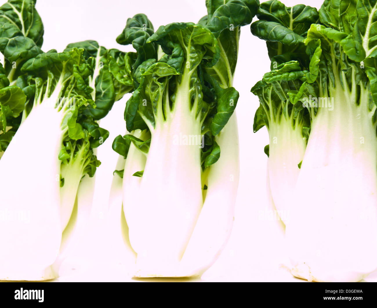 Bunch of fresh baby bok choy, Brassica rapa chinensis, isolé sur fond blanc Banque D'Images