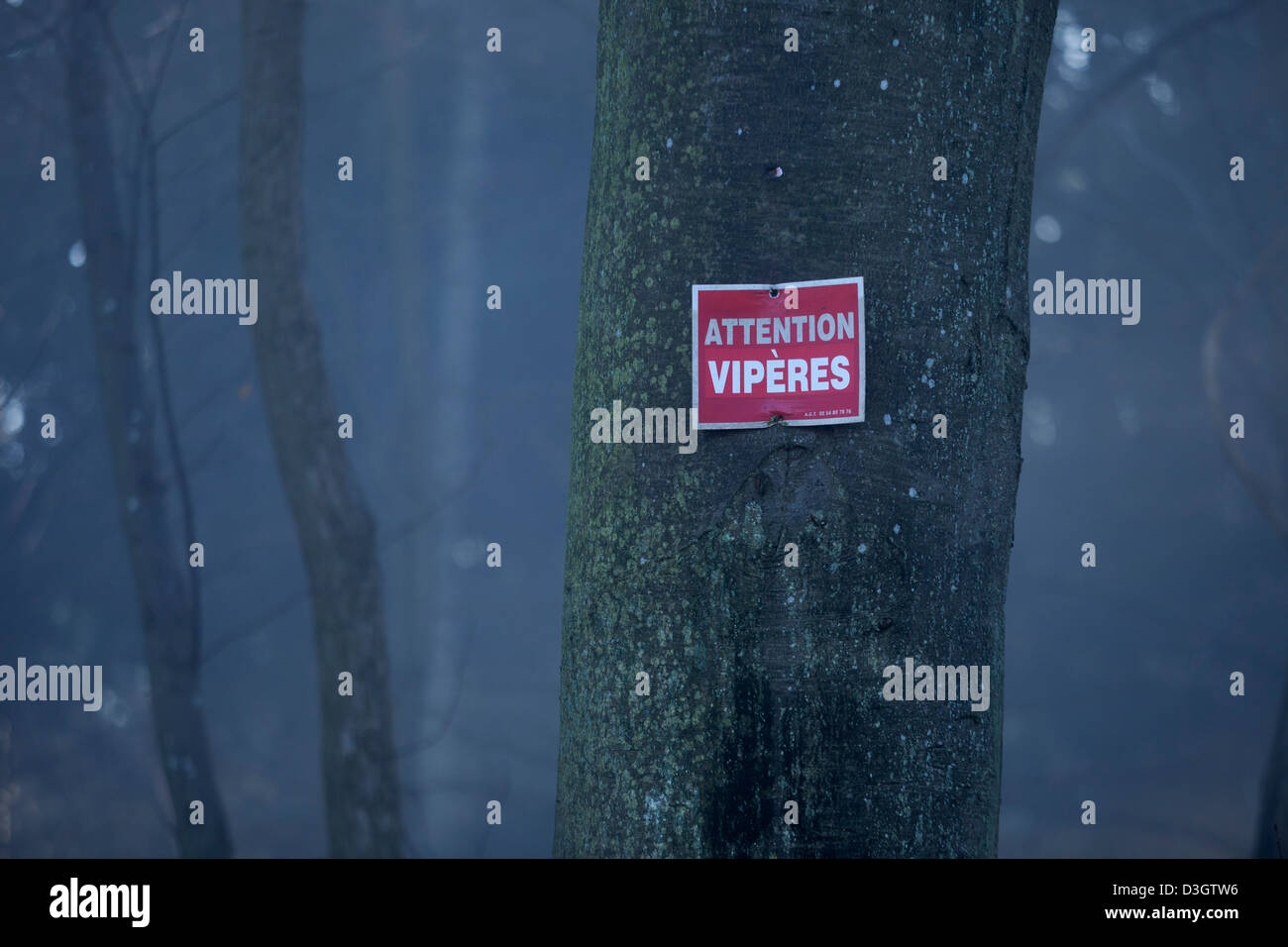 Langue des signes Mise en garde contre la possibilité d'additionneurs (vipères) dans la Forêt de Bizy, près de Vernon, France Banque D'Images