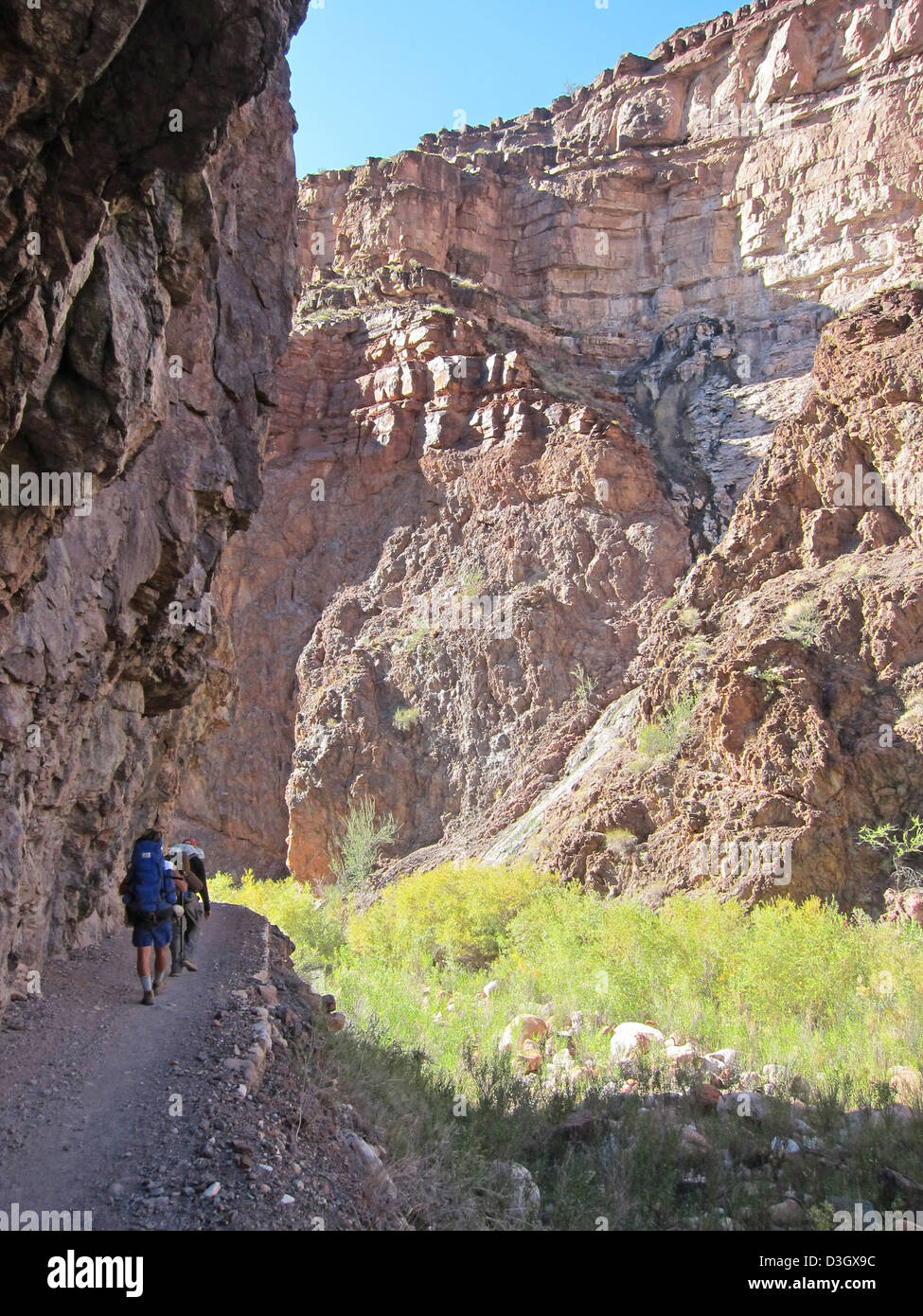 Le North Kaibab Trail, menant à la section Box, offre aux randonneurs un voyage difficile à travers le Grand Canyon. Ce sentier donne accès à de superbes formations de granit et une plongée profonde dans les merveilles géologiques du parc. Banque D'Images