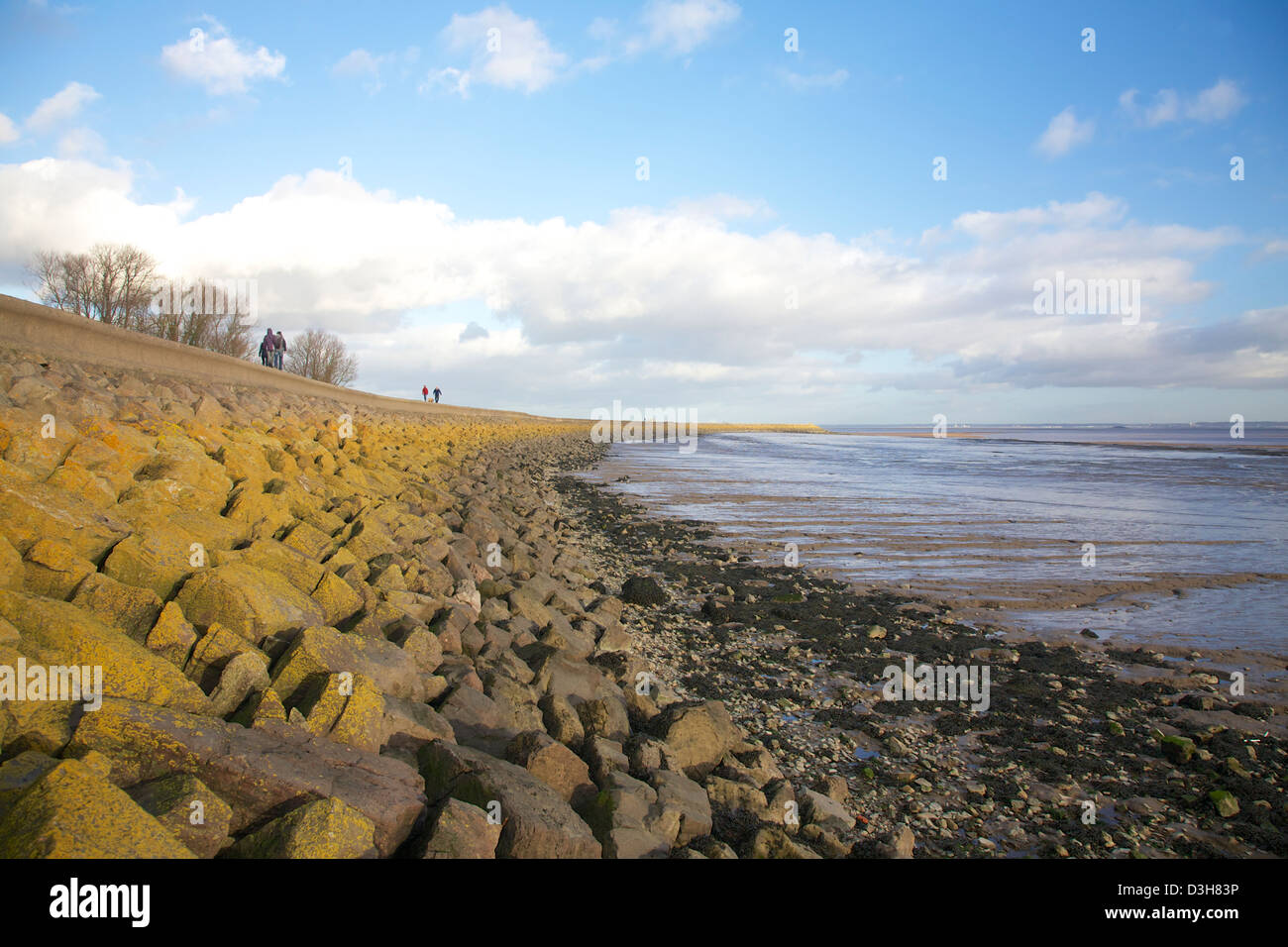 Mur de la mer, estuaire du Severn, Nash Point & Zones Humides, Newport, Pays de Galles Banque D'Images