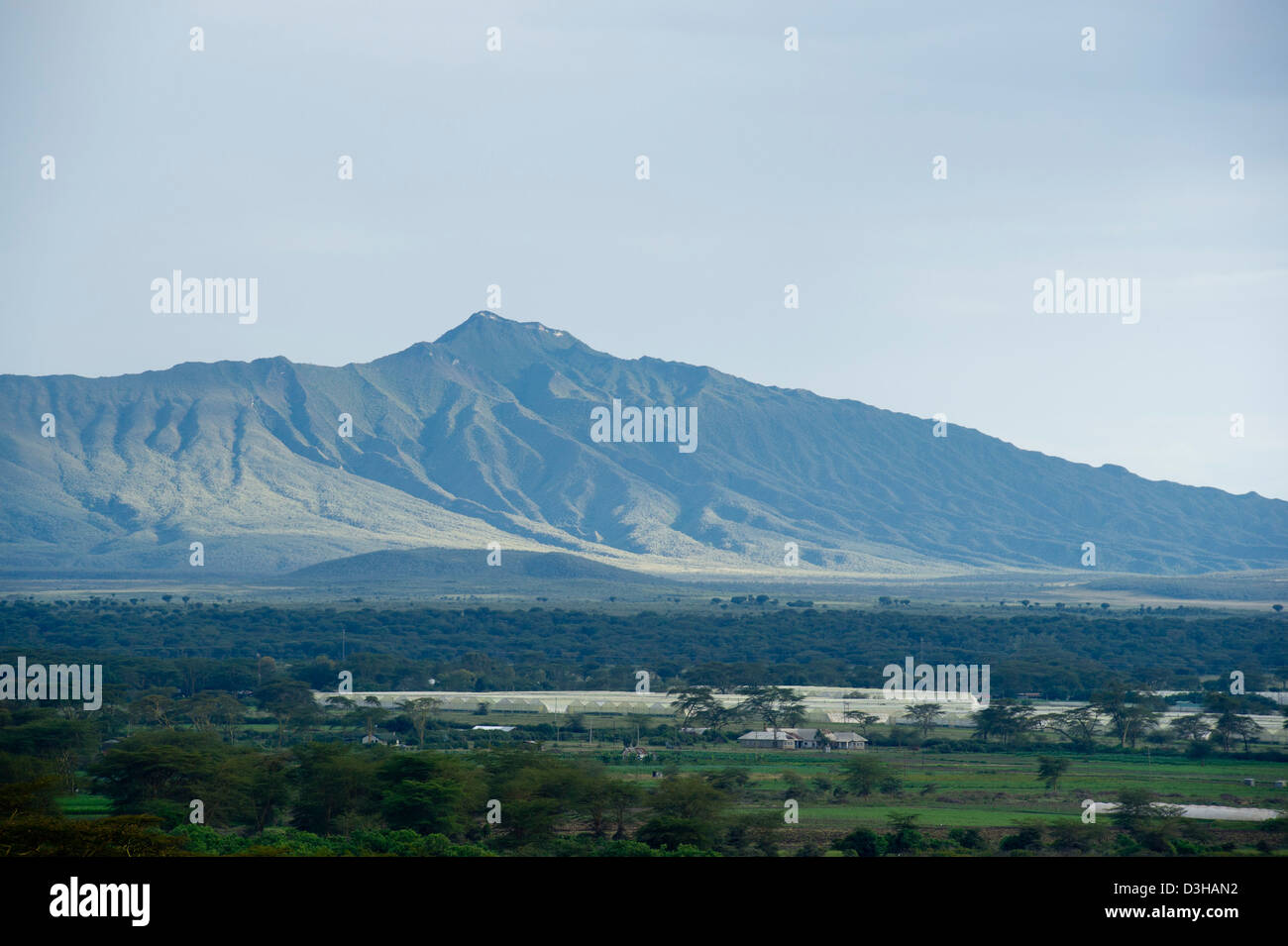 Les fermes de la fleur à la base du mont Longonot, Naivasha, Kenya Banque D'Images