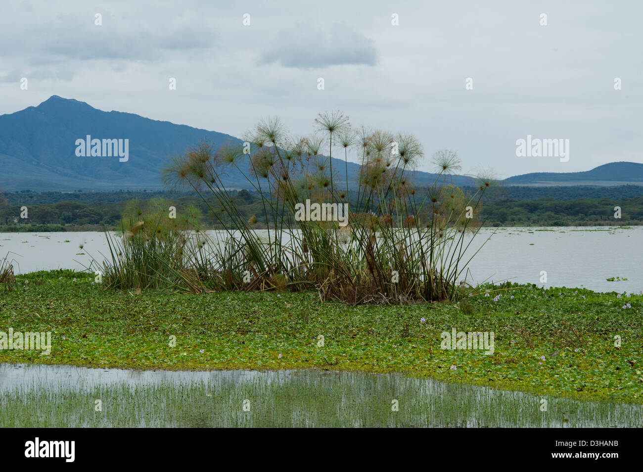 Vue du mont Longonot au Crescent Island Sanctuary sur le lac Naivasha, Kenya Banque D'Images