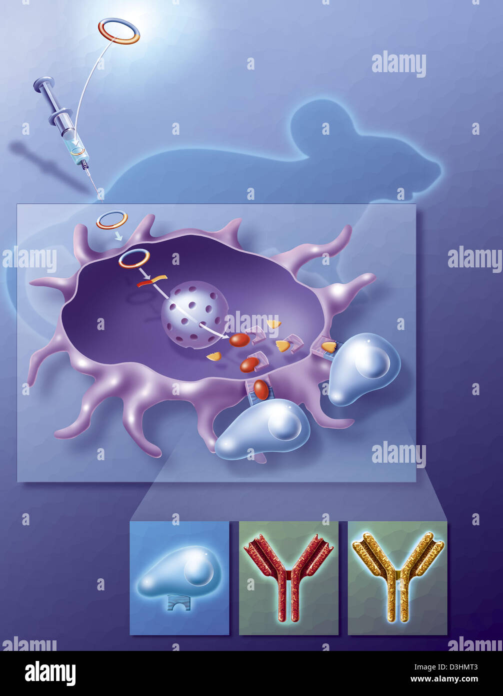 SIDA, RECHERCHE Banque D'Images