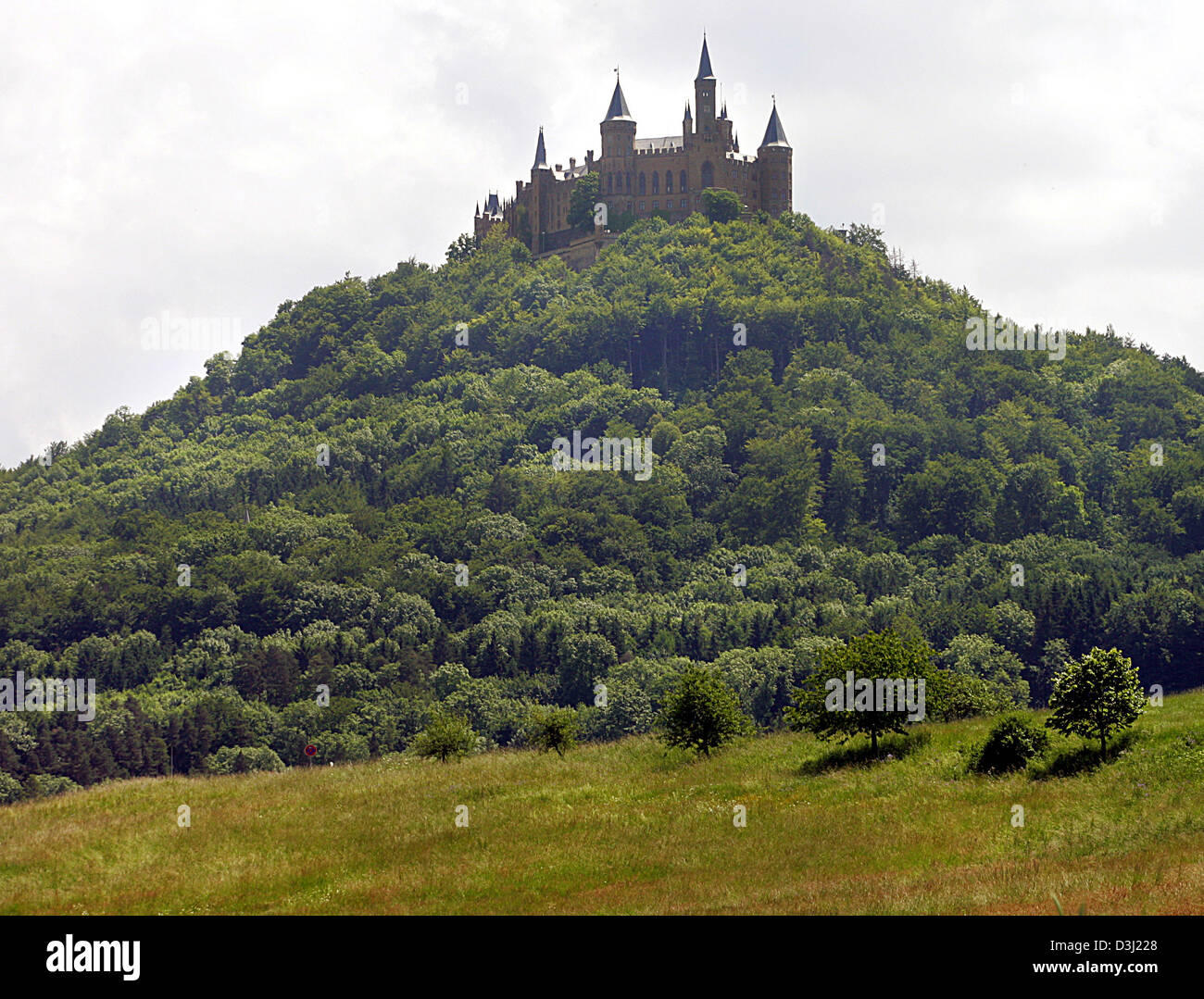 (Afp) - Le château Hohenzollern en photo le 15 juin 2005. Le château Hohenzollern est le siège ancestral de la garnison prussienne-ainsi que la ligne catholique-seigneuriale de la maison Hohenzollern. C'est une des plus belles et visité les châteaux de l'Europe. L'empereur Guillaume II déjà admiré la vue spectaculaire sur les montagnes souabes : La vue sur le château Hohenzollern trul Banque D'Images