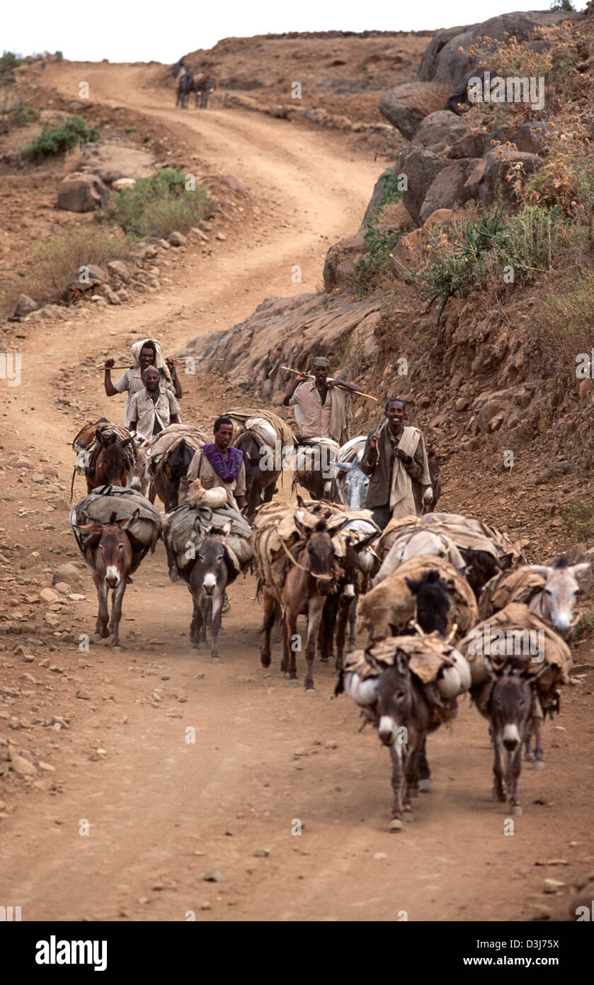 Les commerçants marchant sur une piste poussiéreuse avec leurs ânes transportant des marchandises du marché Mekelle. Tigray, Éthiopie Banque D'Images