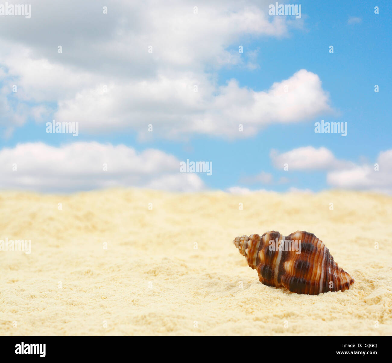 Plage de sable avec des nuages et shell Banque D'Images