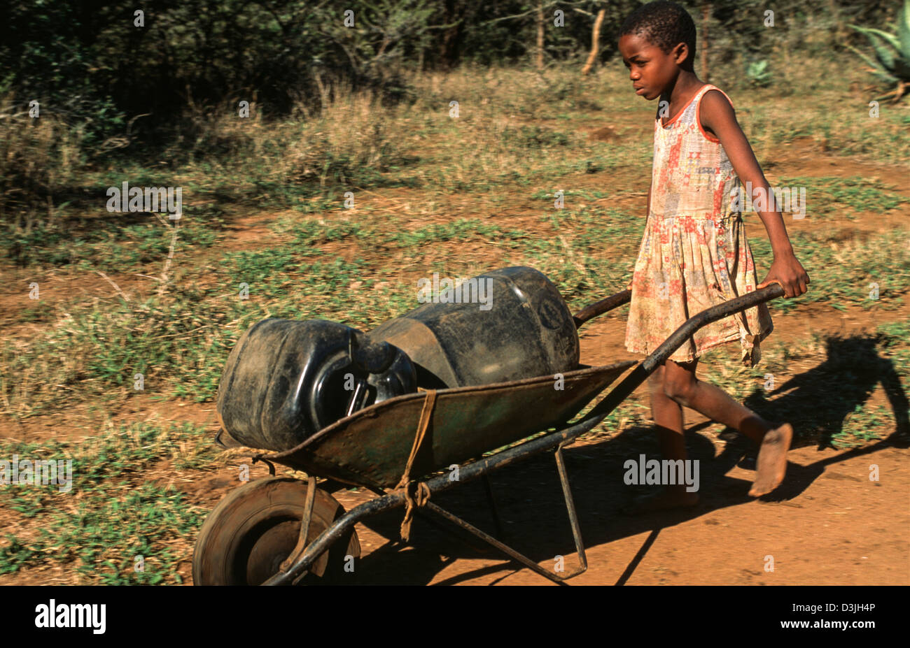 Jeune fille poussant une brouette contenant des bidons pleins d'eau d'un puits à sa maison.Siphofaneni, eSwatini (Swaziland) Banque D'Images