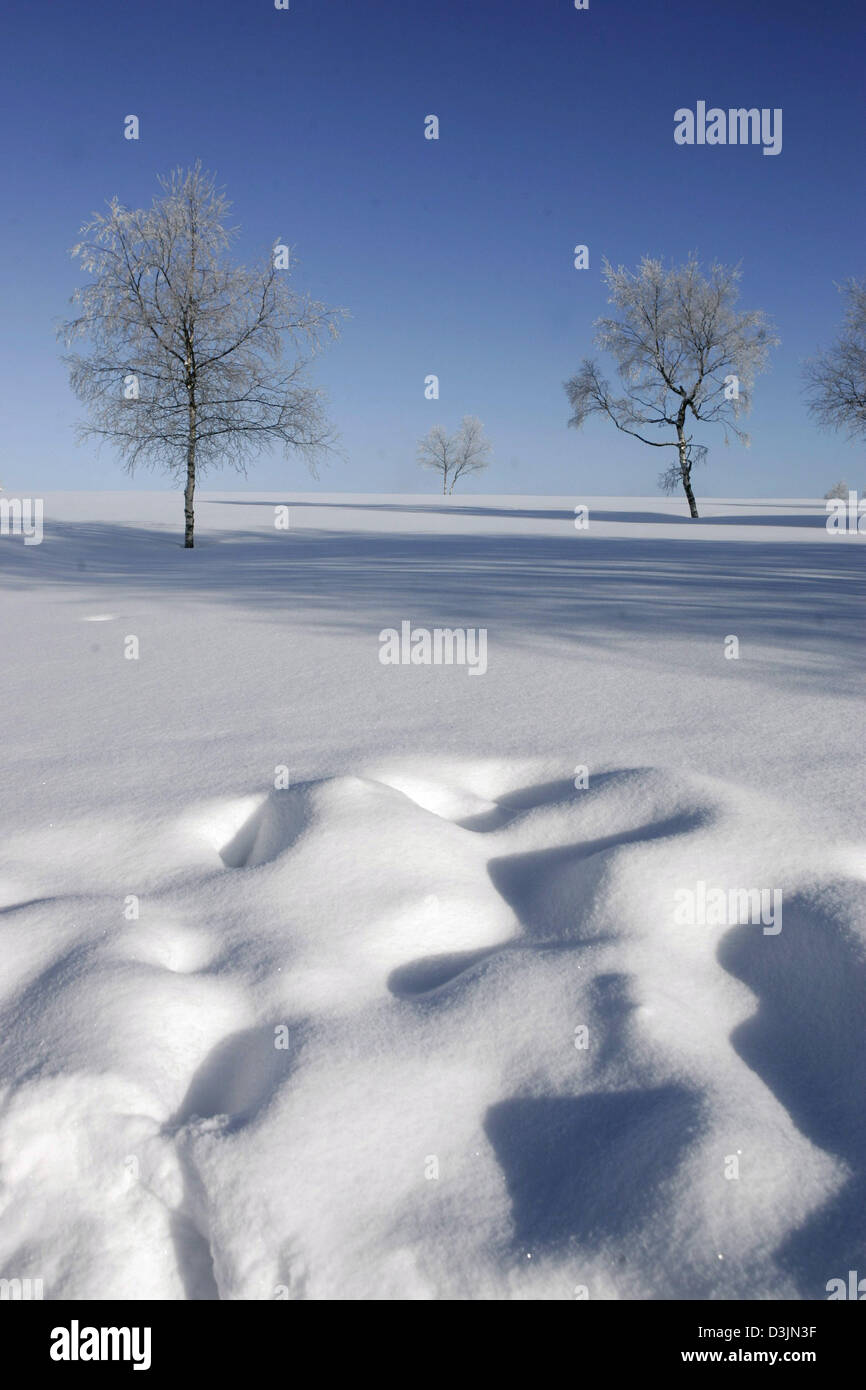 (Dpa) - Vue de la montagne enneigée Kahle Asten près de Winterberg, Allemagne, 19 février 2005. Banque D'Images