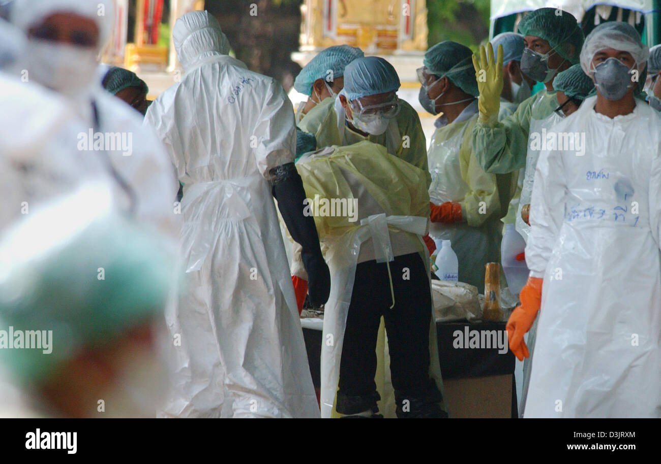 (Afp) - Les médecins légistes prélever des échantillons d'ADN provenant des victimes de l'inondation survenue à l'Yan Yao Temple dans le district de Takua Pa (Thaïlande), 10 janvier 2005. De nombreux cadavres ne sont pas encore identifiés. Banque D'Images
