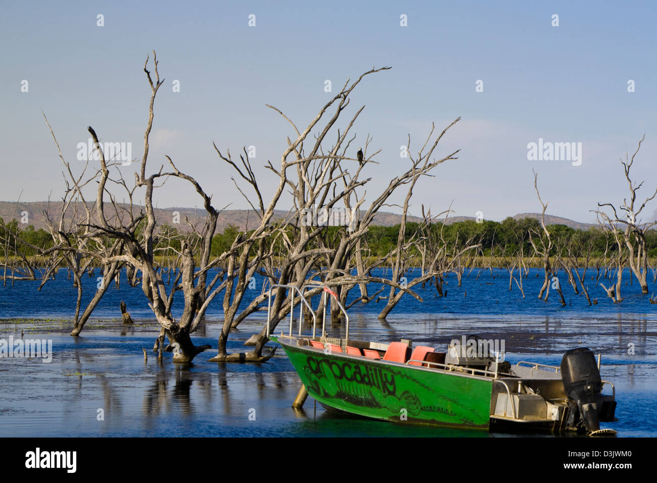 Voile, lac Kununnura, à l'Est de la région de Kimberley, Australie occidentale Banque D'Images