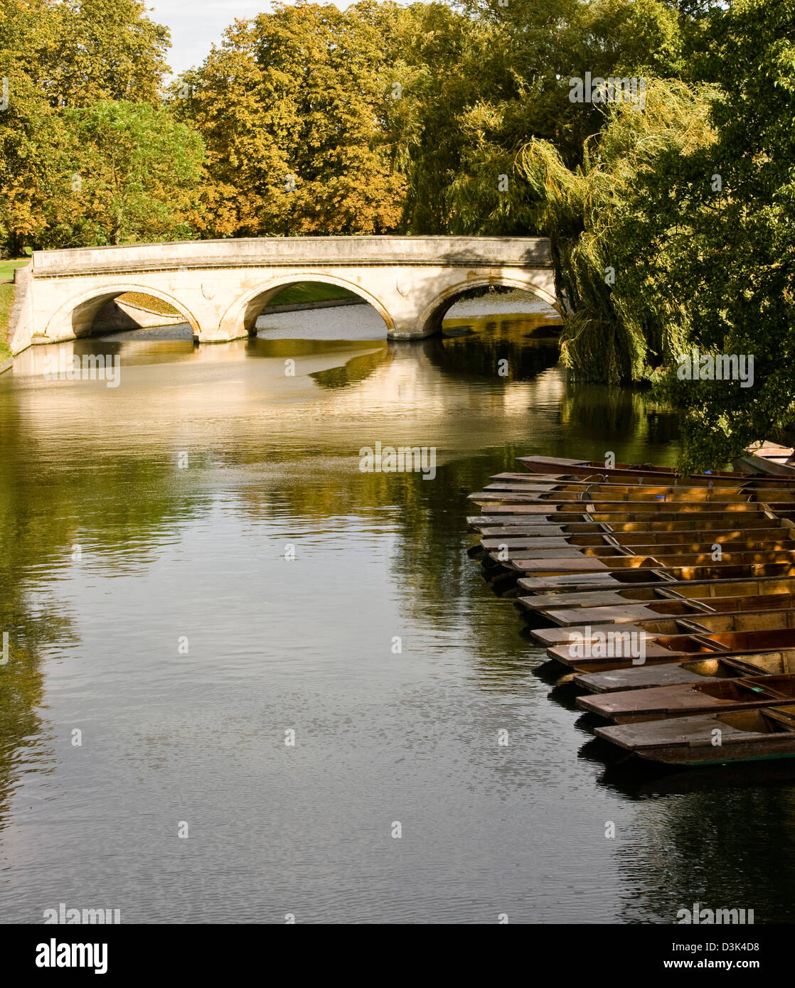 Ligne de plates amarré sur la rivière Cam Cambridge Cambridgeshire angleterre Europe dos Banque D'Images