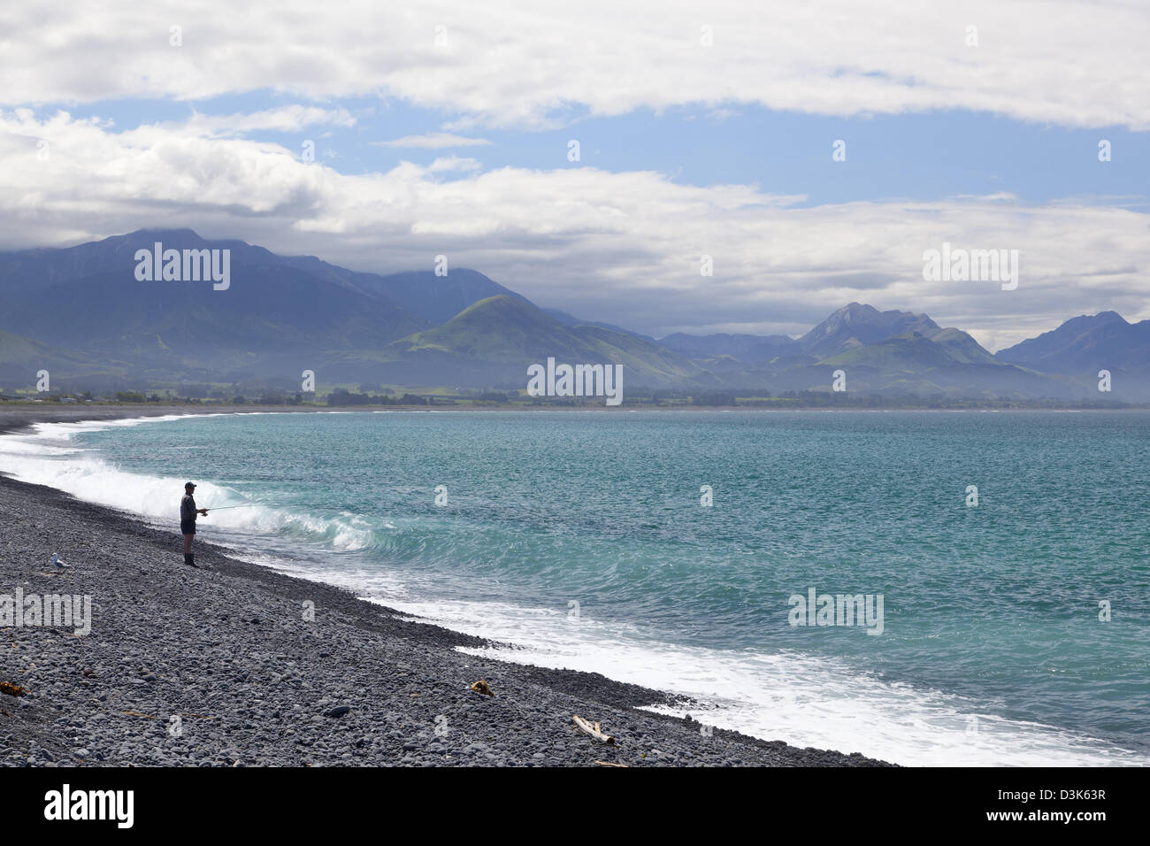 La pêche à la plage de Kaikoura, printemps, Nouvelle-Zélande, l'île du Sud, Banque D'Images