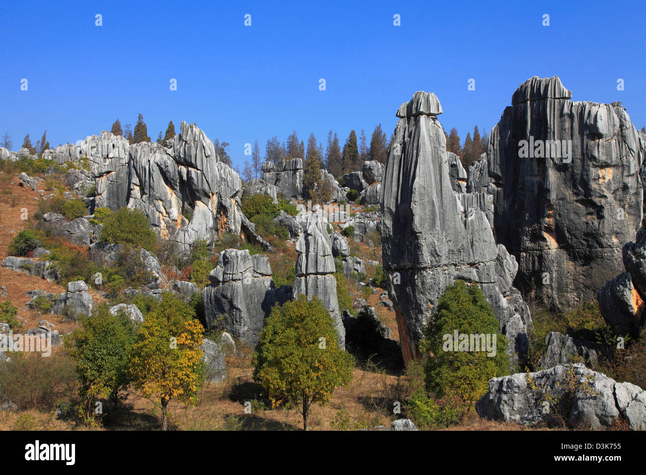La Chine, le Yunnan, Shilin, la forêt de pierre, Banque D'Images