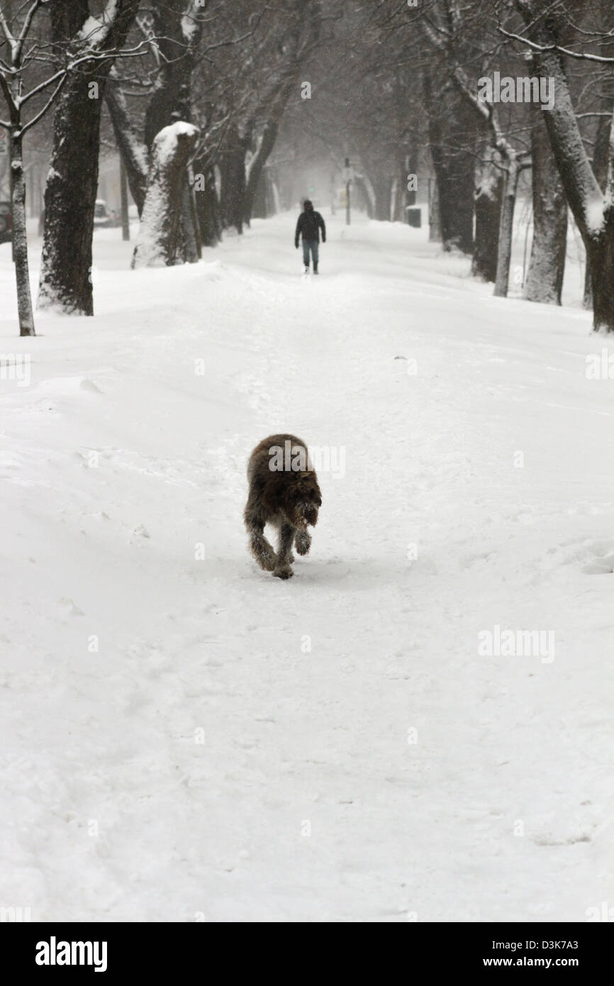 Les gens dehors et environ pendant la période active de l'hiver à Montréal, Québec. Banque D'Images