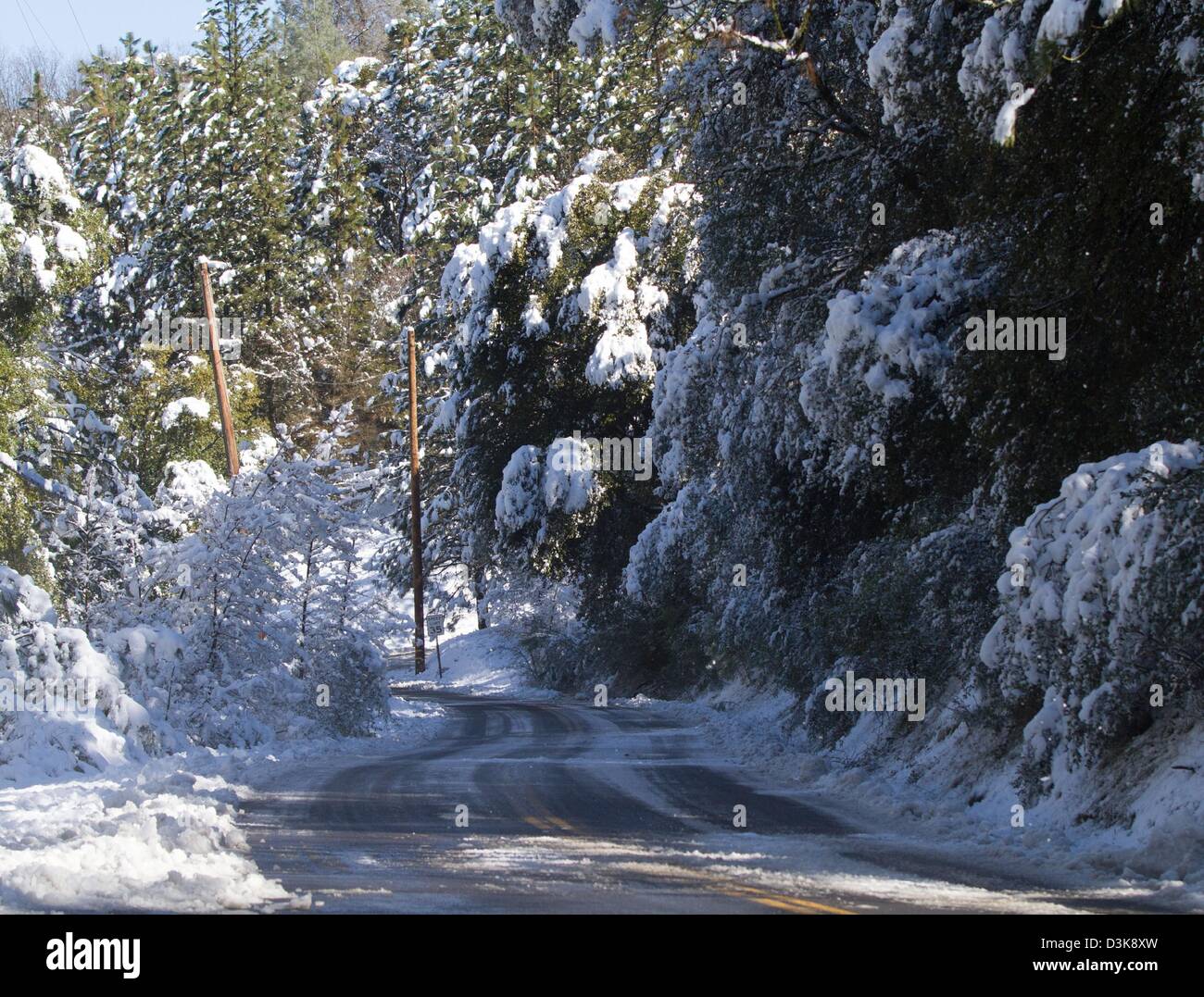 20 février 2013 - Sonora, CA, Etats-Unis - une route près de la Colombie College à Sonora CA est bordée de neige après une tempête de neige froid neige tombée sur le centre de la Californie mardi 19 février 2013 pour aussi peu que 1 216 pieds d'altitude. (Crédit Image : © Marty Bicek/ZUMAPRESS.com) Banque D'Images