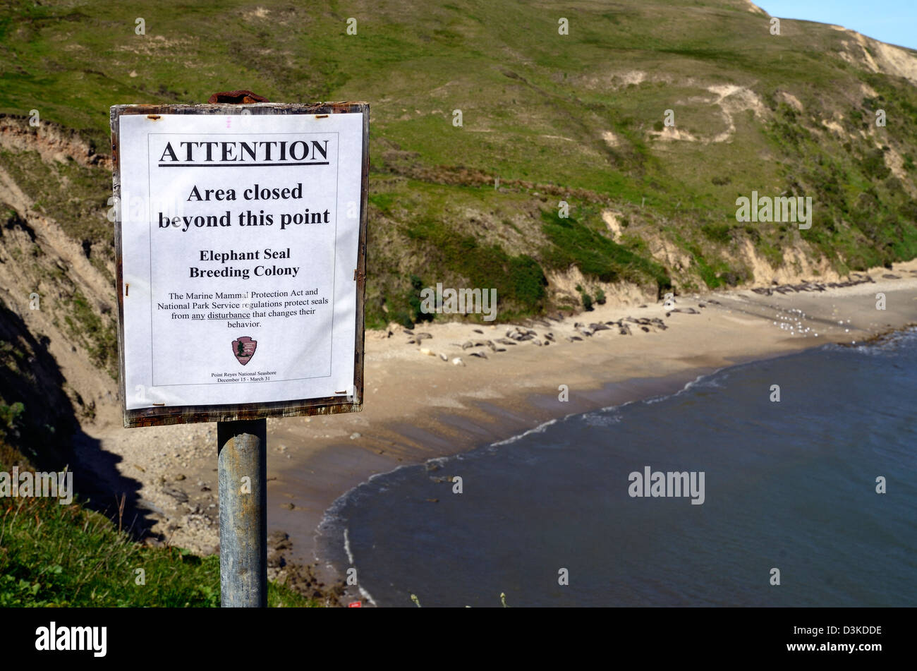Attention à signer une colonie de phoque éléphant Banque D'Images