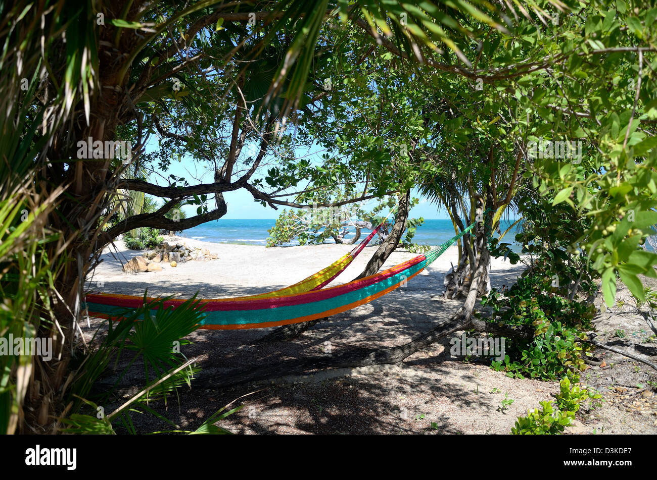 Deux hamacs piqués sous les arbres d'une plage des Caraïbes Banque D'Images