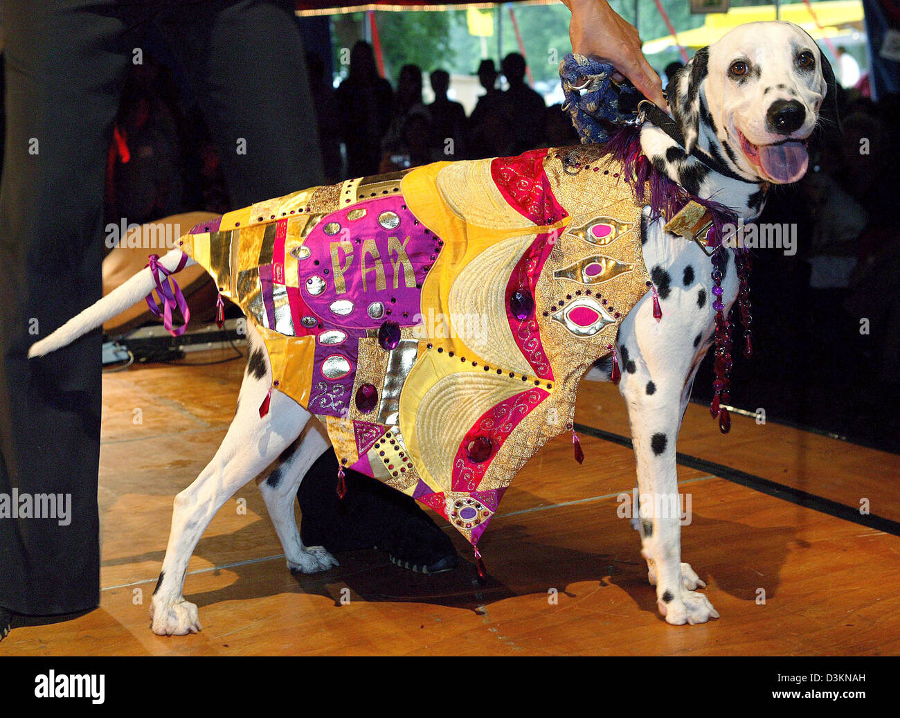 (Afp) - chien Dalmatien 'Charly' présente une Peacecoat 'Klimt' pendant la première 'bavarois h.und - Festival pour les amateurs de chiens et de leur famille dans la prairie de Château Greifenberg au lac Ammer, Allemagne, 30 juillet 2005. Hartlieb brumeux de l'artiste peint et appliqué comme ornements typiques Klimt spirales, les yeux et les taches. Le manteau et le collier sont décorées avec des pierres Swarovski. Concepteur de la pi Banque D'Images