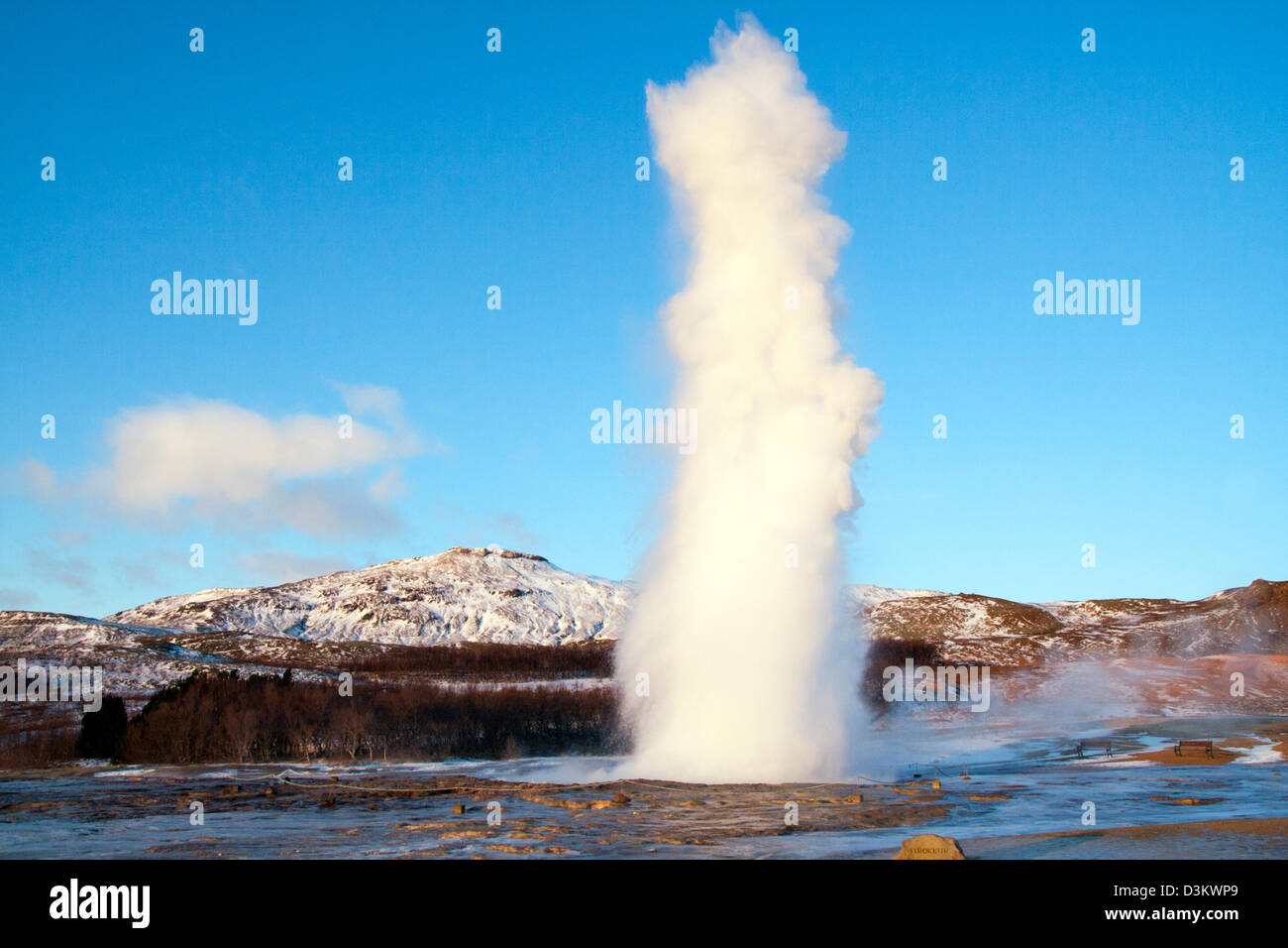 Geyser en éruption en Islande Banque D'Images