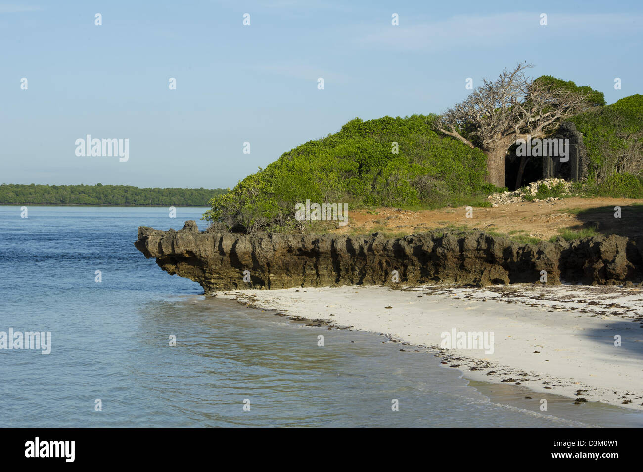 Affleurements de corail dans la baie aux Tortues, Watamu, Kenya Banque D'Images