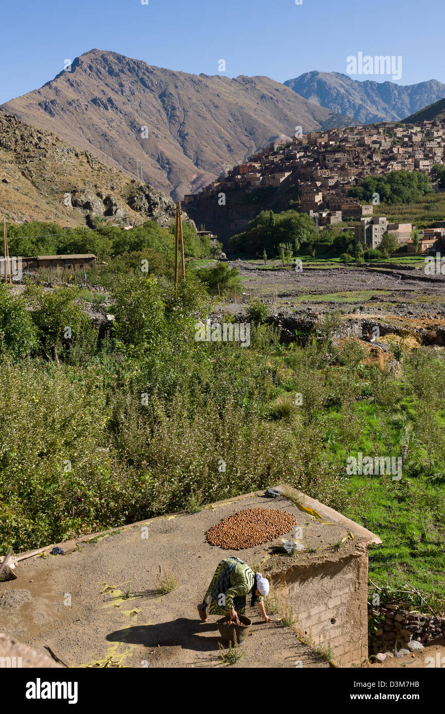 Femme berbère noix de séchage sur son toit avec la vallée et le village derrière elle, Village Aremd, près de l'Imlil, Maroc Banque D'Images