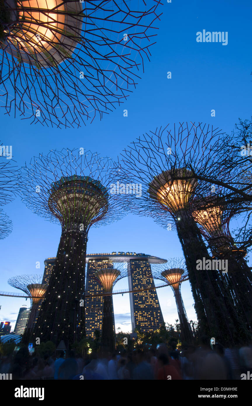 Supertrees illuminée au crépuscule avec un fond de Marina Bay Sands à Singapour Banque D'Images