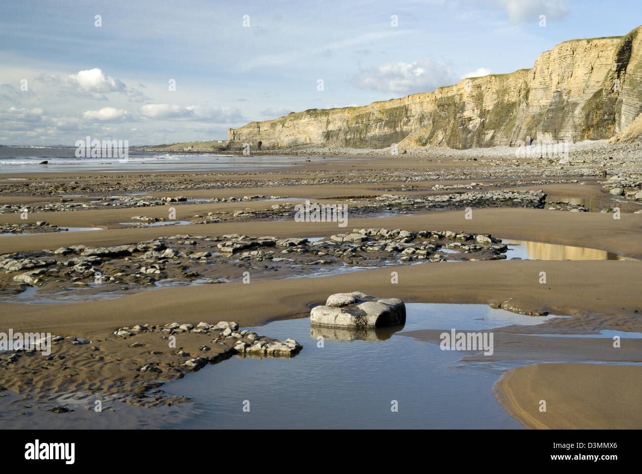 Lias falaises calcaires, MCG Nash, la côte du Glamorgan, Vale of Glamorgan, Pays de Galles, Royaume-Uni. Banque D'Images