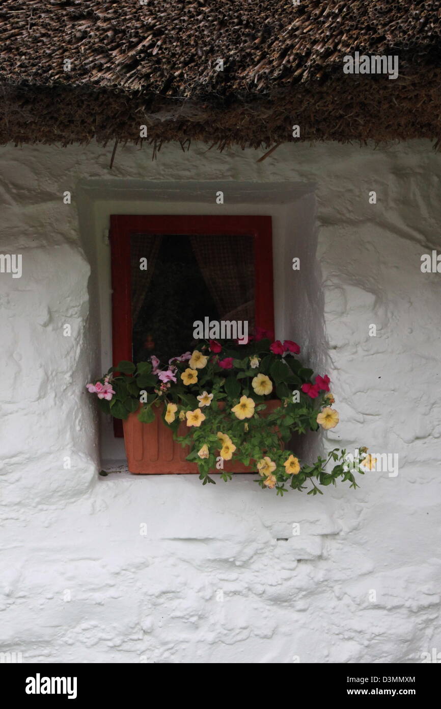 La comté de Galway, petite fenêtre sur une maison de chaume irlandais rural avec des arrangements de fleurs colorées Banque D'Images