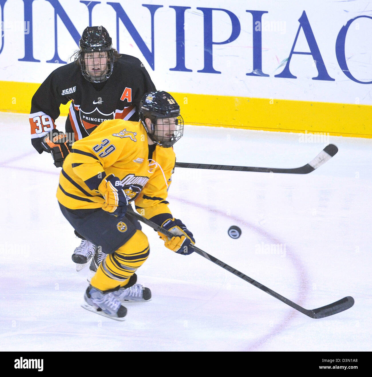 Hamden CT USA--Princeton Vs Quinnipiac match de hockey à l'action. Banque D'Images