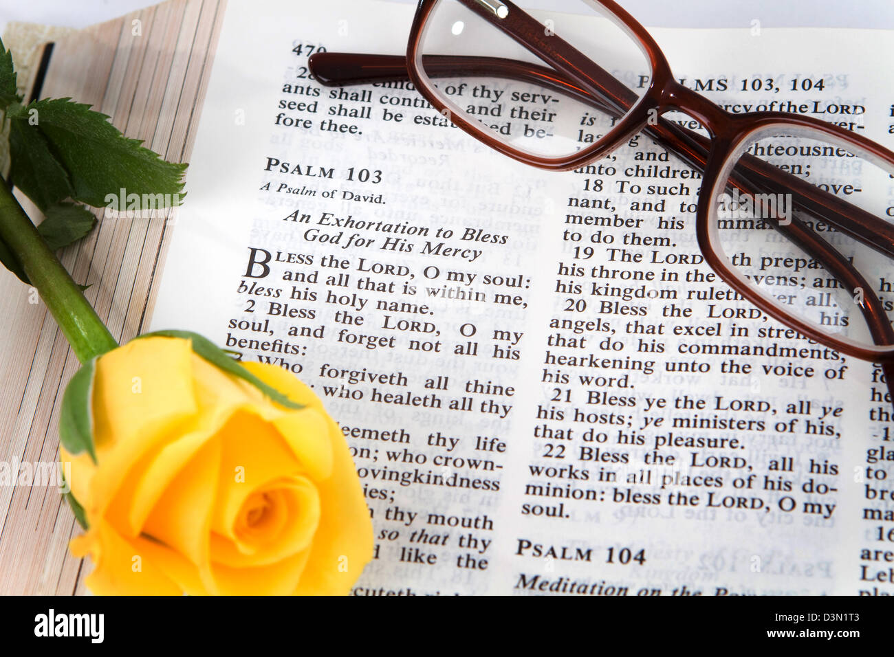 Sainte Bible ouverte pour le livre des Psaumes chapitre 103 avec une rose jaune et lunettes de lecture. Banque D'Images