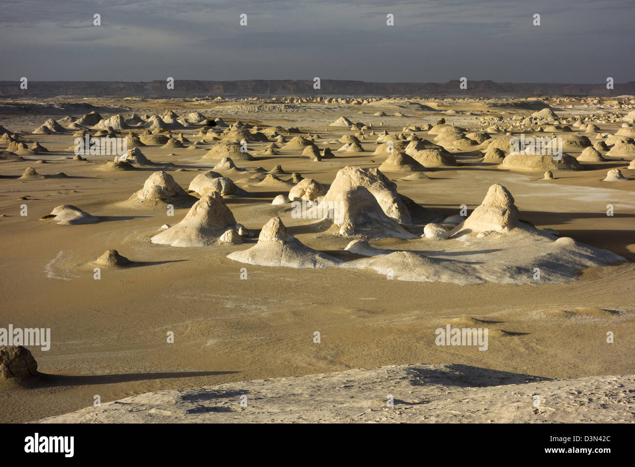Vue sur le désert blanc, en Egypte. Craie érodée formations. Banque D'Images